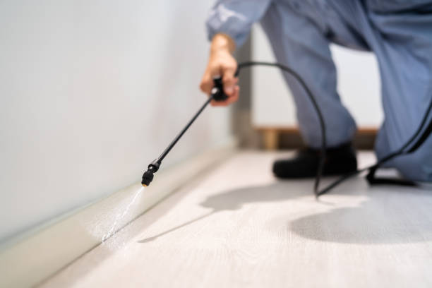 Licensed Cockroach Control service in Lansing, KS - Nex Pest Control