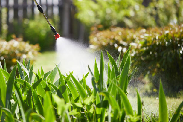 24/7 Emergency Cockroach Control experts in Lansing, KS