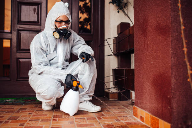 Reliable Cockroach Control contractor in Lansing, KS by Nex Pest Control